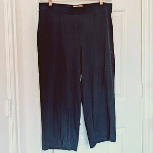 Philosophy Black Cropped Pull-On Pant, size 1X